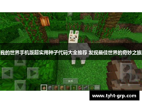 我的世界手机版超实用种子代码大全推荐 发现最佳世界的奇妙之旅