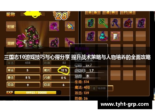 三国志10游戏技巧与心得分享 提升战术策略与人物培养的全面攻略