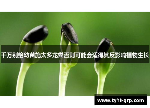 千万别给幼苗施太多龙粪否则可能会适得其反影响植物生长